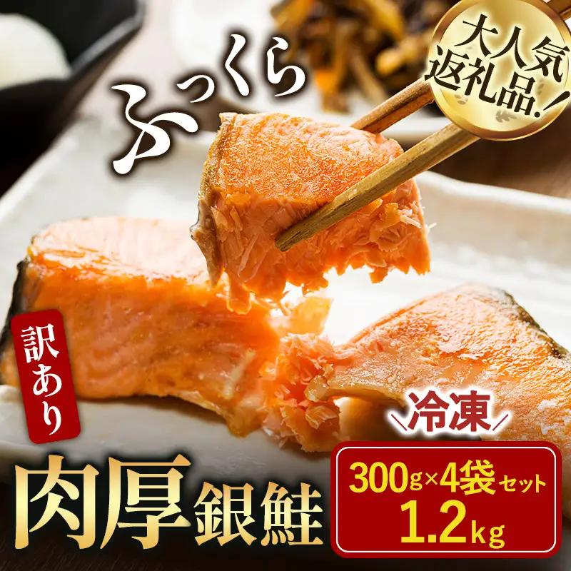 訳あり塩銀鮭切り身 1.2kg（300g×4袋）【V003250】