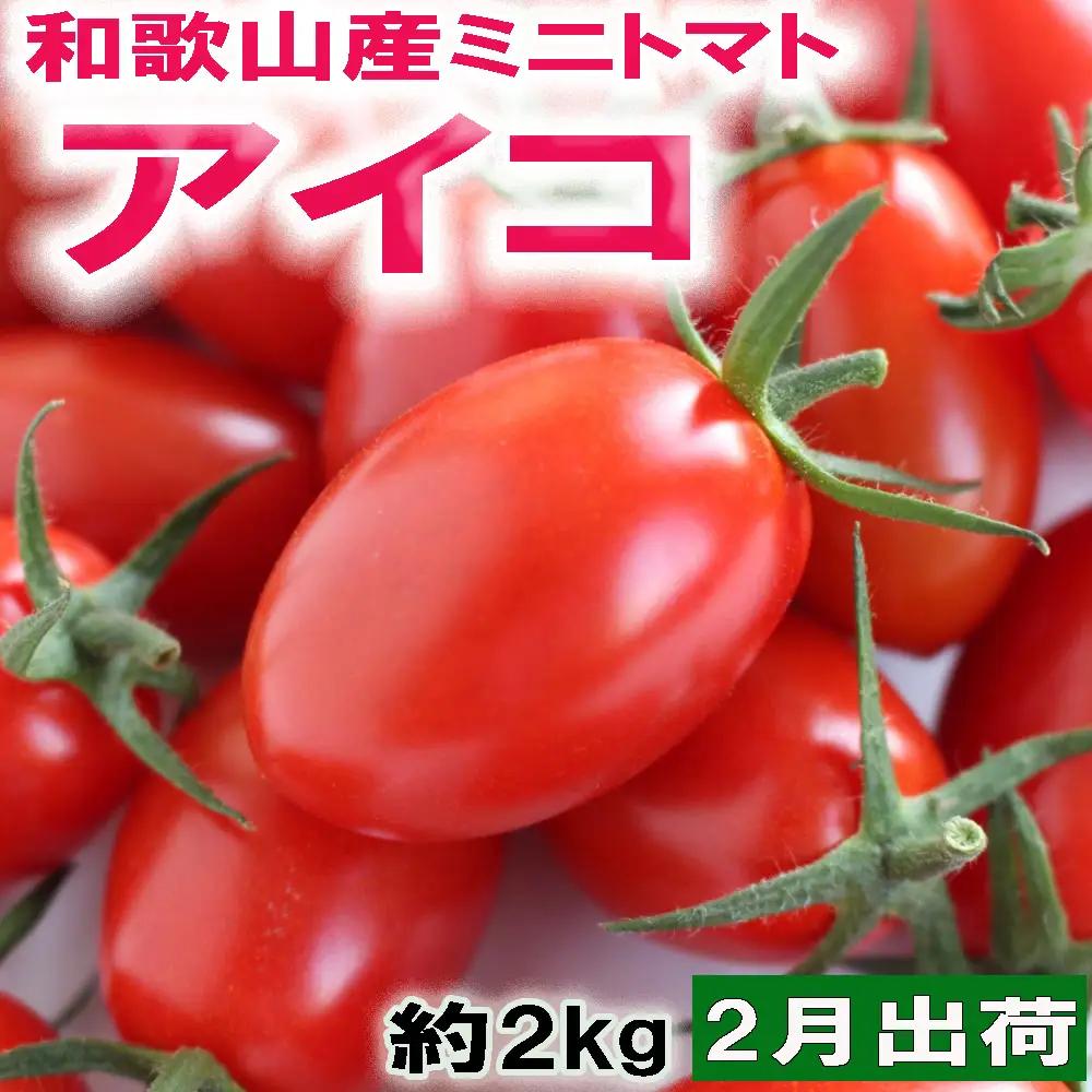 【2027年2月出荷分】和歌山産ミニトマト「アイコトマト」約2kg（M・Lサイズおまかせ）※2027年2月上旬～2月下旬ごろ順次発送 ※北海道・沖縄・離島地域への配送不可【tec401-aik-2-feb】