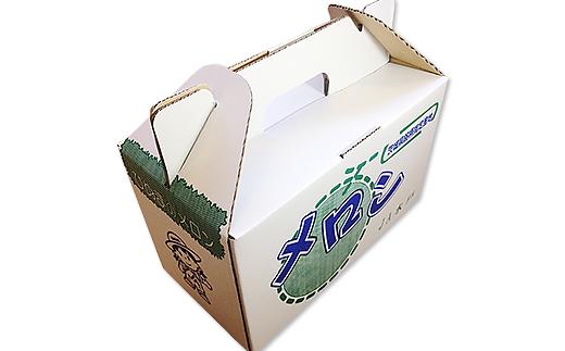 007-1茨城県産アンデスメロン【秀品】約2kg（2玉）