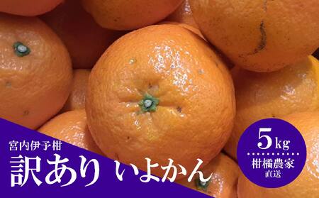 【2027年1月中旬頃から順次発送】【訳あり】 数量限定 伊予柑 5kg みかん 不揃い いよかん 家庭用 柑橘 愛媛 松山 北条 果物 フルーツ 産地直送 みかん 農家直送 【HMN008_A】