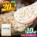 【ふるさと納税】【全3回定期便】 長崎県産 丸麦 10kg / 麦 むぎ 雑穀 雑穀米 麦ごはん 麦飯 麦みそ 食物繊維 / 諫早市 / 有限会社伊東精麦[AHBU006]