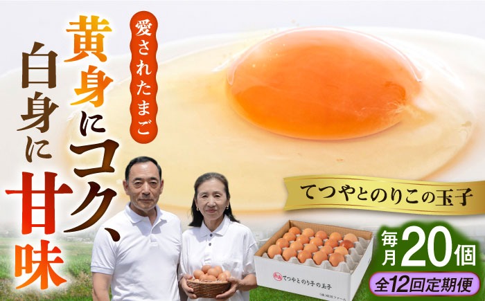 【全12回定期便】てつやとのりこの玉子 【 20個 】 糸島市 / 板垣ファーム 卵 たまご 鶏卵[AWD018]
