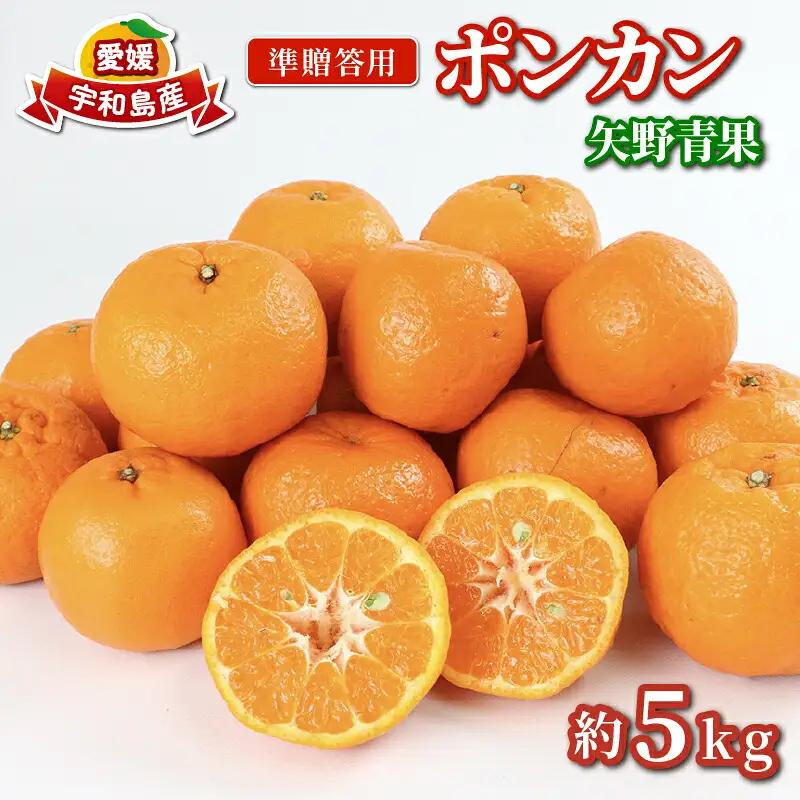 準 贈答用 ポンカン 5kg 矢野青果 ポンカン B012-171007