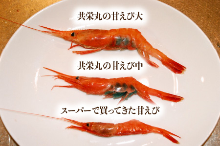 「共栄丸」直送☆船内瞬間冷凍 プレミアム甘えび　卵あり 約400g 【海老 えび エビ アマエビ あまえび 甘海老 赤エビ アカエビ あかえび ホッコクアカエビ 殻付きえび 有頭えび 殻付きエビ 有頭