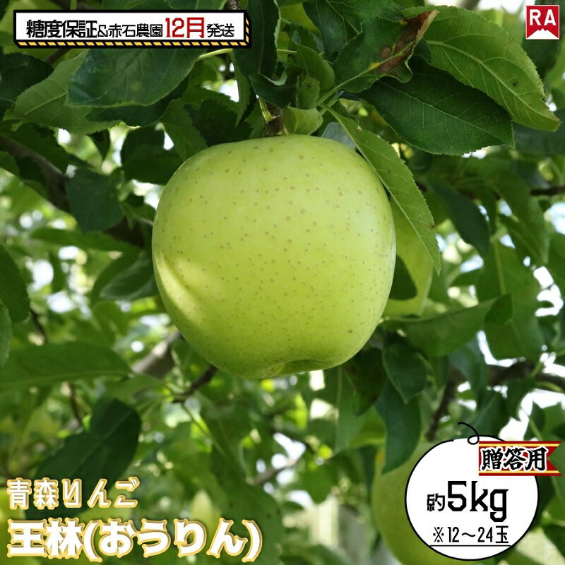 【ふるさと納税】りんご 【 12月発送 】 13度糖度保証 贈答用 王林 約 5kg 【 弘前市産 青森りんご 果物 フルーツ 食後 デザート 旬の果物 旬のフルーツ シャキシャキ みずみずしい 】　お届け：2025年12月1日～2025年12月27日