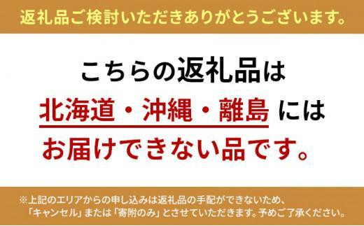 【先行予約】厳選大粒静岡いちご2パック 総重量約900ｇ（「すず・おいCベリー・紅ほっぺ」のいずれか2パック）冷蔵 苺 フルーツ◇【配送不可：北海道・沖縄県・離島】