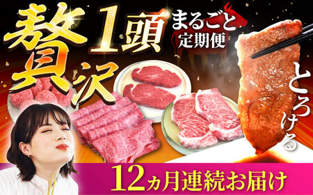 【牧場直送】【12回定期便】佐賀牛 贅沢 1頭まるごと定期便 ゴールドコース【有限会社セントラル牧場】 牛肉 肉 お肉 焼肉 すきやき ステーキ ハンバーグ 国産 九州 [IAH090]