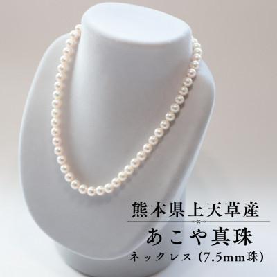 ふるさと納税 上天草市 上天草産 あこや真珠 ネックレス(7.5mm珠)