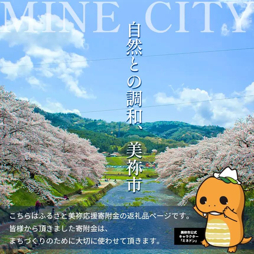 はだか麦 3袋 お試しセット