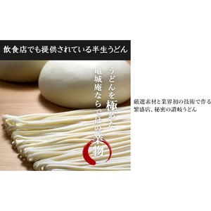 亀城庵 半生讃岐うどん並切麺120g×10袋(10食入・つゆ付セット)さぬきうどん 家庭用 ざる ぶっかけ 釜揚げ 釜玉 麺 麺類 本格的 ランチ お昼ごはん 夕飯 夜ごはん  FAH-0047