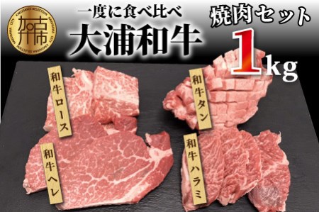 大浦和牛焼肉セット(1kg)《 牛肉 牛 国産 焼肉 セット おすすめ ロース 美味しい 牛タン ハラミ ヘレ フィレ ヒレ ヒレ肉 食べ比べ バーベキュー 》【2405A00206】