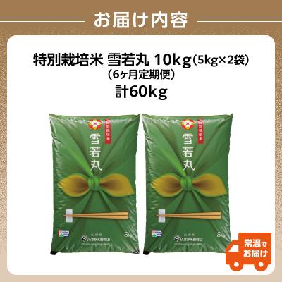 ふるさと納税 大江町  《定期便6ヶ月》特別栽培米 雪若丸 10kg×6回 合計60kg 【山形県産】 001-T42 |  | 02