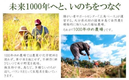 1920R_1000年ゆめ農場「柿の葉茶」10包×3パック