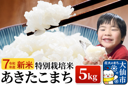 新米 米 令和7年産【特別栽培米】あきたこまち【精米】5kg