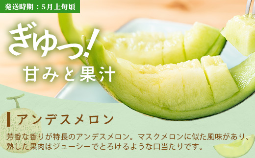 【フルーツ 定期便 3回B】2026年発送分 アンデスメロン・桃・梨 3回配送 旬 フルーツ 定期便 数量限定 メロン 球磨の桃 豊永の梨 果物 名産 熊本 多良木町 092-0508