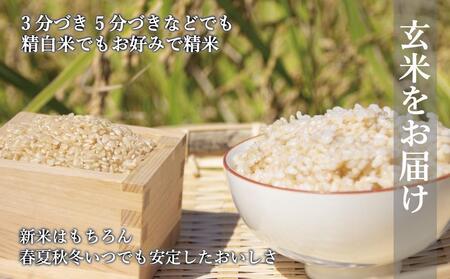 玄米(特別栽培農産物)元気つくし 5kg×2袋 (計10kg)