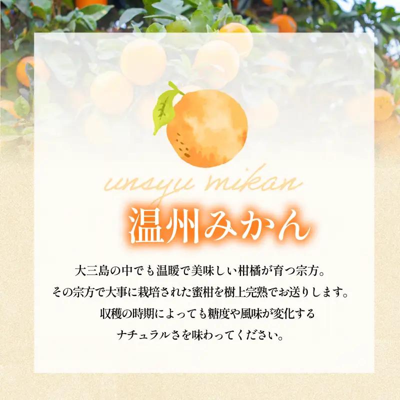 【先行予約】宗方印 温州みかん（家庭用）約2kg