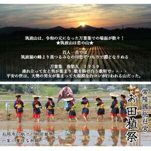 食味ランク【特A地帯】筑波山麓厳選★検査1等米こしひかり【恋瀬姫の舞】白米5kg 令和7年産【配送不可地域：離島・沖縄県】【1699591】