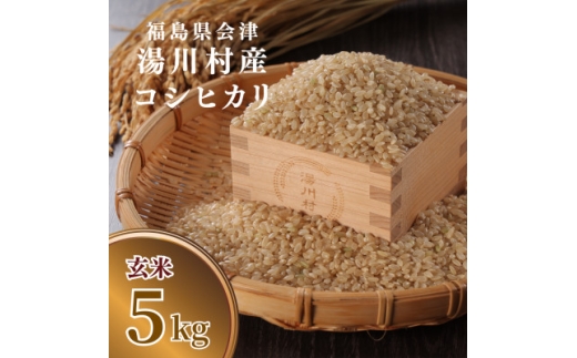 令和8年産湯川村産コシヒカリ(玄米) 5kg  R9.8月発送分【1773910】