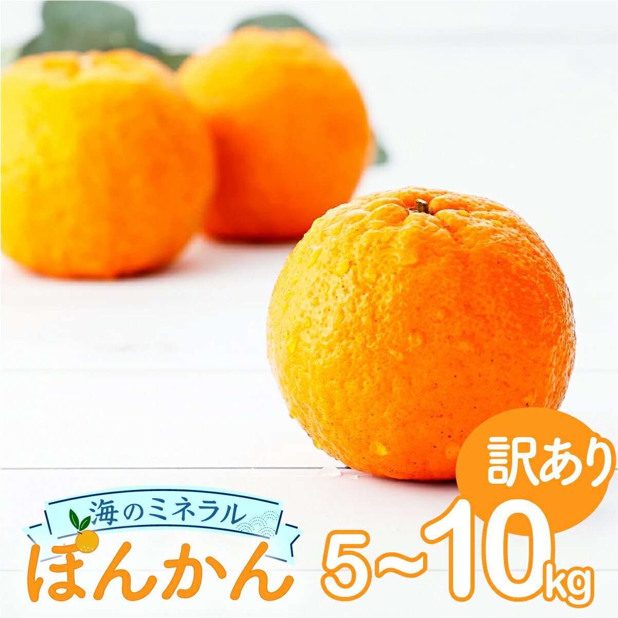 【ふるさと納税】先行予約 ＜選べる容量＞海のミネラルをたっぷり含んだ甲浦のポンカン 5kg/10kg〈訳あり〉 国産 東洋町産 訳アリ 甘い 栄養たっぷり ジューシー 果肉 四国 お取り寄せ フルーツ 蜜柑 ミカン 果物 家庭用 自宅用 送料無料