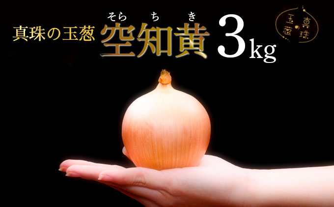 真珠の玉葱 空知黄 3kg ＜海のミネラルで育てた幻の玉葱 空知黄＞｜玉ねぎ たまねぎ タマネギ 北海道産 岩見沢市【a134-010】 3kg
