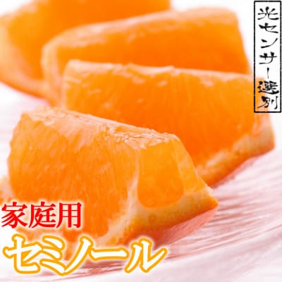 ＜4月より発送＞家庭用セミノールオレンジ5kg+150g(傷み補償分)【有田産】【わけあり】【配送不可地域：離島・北海道・沖縄】【1345582】