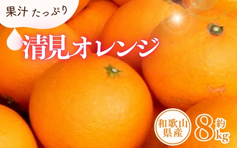 
清見オレンジ約8kg/果実サイズおまかせ　※2024年2月中旬～4月下旬頃に発送予定　紀伊国屋文左衛門本舗【ntbt401B】
