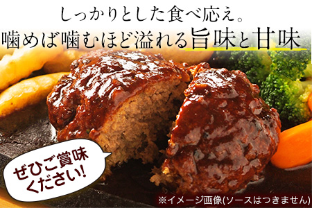 ハンバーグ 馬肉入り ハンバーグ(約150g×15個)　肉の宮本