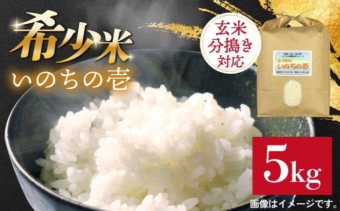 
                  【玄米・分搗き対応】稀少品種「いのちの壱」5kg 糸島市 / 二丈赤米産直センター 米 白米 玄米 [ABB028]
                