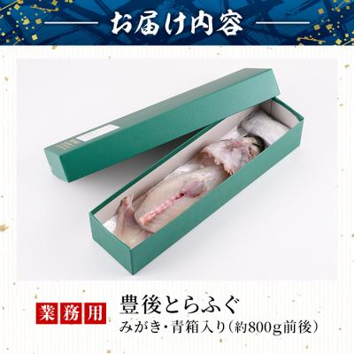 ふるさと納税 佐伯市 <業務用>豊後とらふぐ 1匹 青箱入 (約800g前後) |  | 01