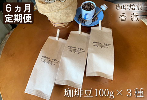 【定期便6回】プレミアムコーヒー豆 6か月コース 毎月お届け 100g × 6種類 600g 焙煎 珈琲豆 ブレンド ロースト 埼玉県 羽生市