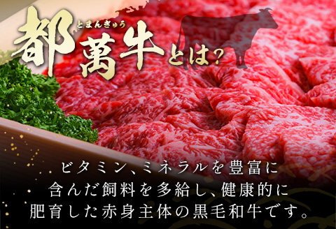 黒毛和牛＜都萬牛＞焼肉 300g【B575-2603】