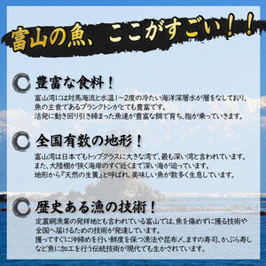 氷見産厳選一夜干し旬の詰合せ　| 干物 産地直送 一夜干し 干物セット 国産 富山 詰め合わせ 小分け 旬 新鮮 おつまみ おかず 簡単調理 焼魚 冷凍