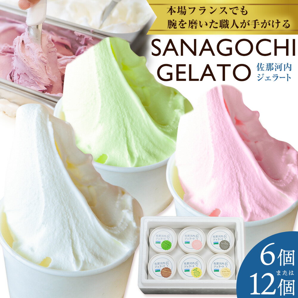 【ふるさと納税】ジェラート アイス スイーツ SANAGOCHI GELATO 6個 または 12個 株式会社クリスティーヌ 《30日以内に出荷(土日祝除く)》 徳島県 佐那河内村 お菓子 ご褒美 プレゼント いちご チョコ ピスタチオ ミルク 送料無料 【配送不可地域あり】(離島)