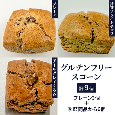 【ふるさと納税】グルテンフリースコーン9個　 お菓子 スイーツ 詰合せ 焼菓子 チョコレート ヴィーガン 食物繊維 ポリフェノール しっとり