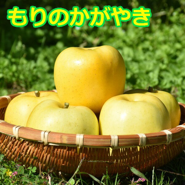【ふるさと納税】希少！青森りんご【もりのかがやき】約5kg（10～20玉）【2025年産・先行予約】★2025年10月上旬～10月下旬頃まで発送予定★りんご 林檎 フルーツ 果物 果実 青森 青森県 青森県産 三戸 三戸町 ギフト プレゼント 産地直送 農家直送 送料無料