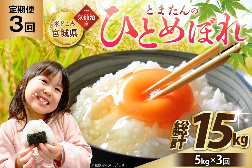 【新米 令和8年産 先行予約】 3回 定期便 米 宮城県産 とまたんのひとめぼれ 5kg 総計15kg [サンフレッシュ小泉農園 宮城県 気仙沼市 20566084] ひとめぼれ ブランド米 白米 精米 ご飯 ごはん コメ こめ お米 小分け 家庭用
