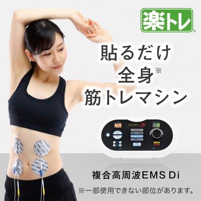 ふるさと納税 国東市 【お腹だけじゃない!貼るだけ筋トレEMS】複合高周波EMS Di(ディーアイ)《楽トレ》_2167R