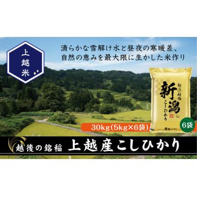 ふるさと納税 上越市 【令和7年産新米先行予約】食味鑑定士厳選 新潟県上越市産こしひかり 5kg×6袋