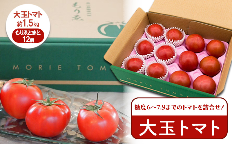 【11月中旬以降順次出荷】もりゑとまと　詰合せ [ 大玉 ト