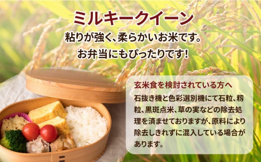 令和4年産 茨城県産ミルキークイーン 玄米（5kg×1袋）｜原料米調整地:茨城県土浦市 便利な少量5kgでのお届け。このお米は石抜き機、色彩選別機の処理済みです。 ※離島への配送不可