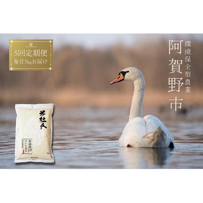 ふるさと納税 阿賀野市 【令和8年産新米】【5回定期便】コシヒカリ5kg×5回　米杜氏 阿賀野市産