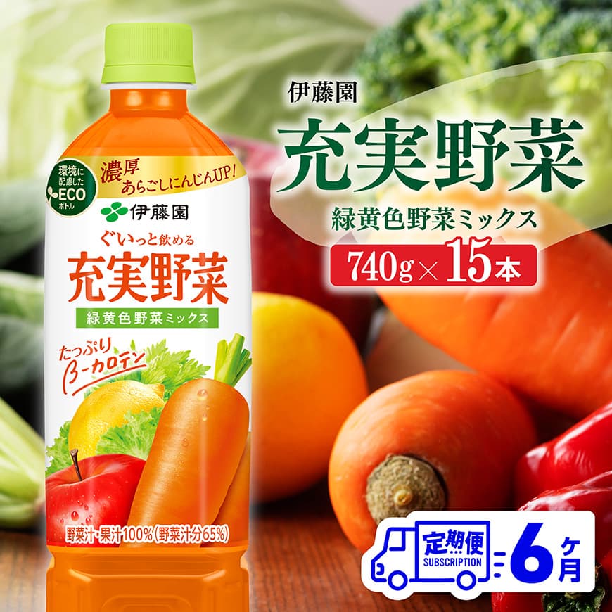 【6ヶ月定期便】 伊藤園 充実野菜 緑黄色野菜ミックス ペットボトル 740g×15本 【 飲料類 ソフトドリンク 野菜ジュース 】[E7366t6]