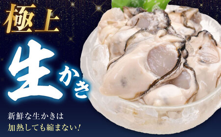 生牡蠣むき身1kg 牡蠣[XBP004]