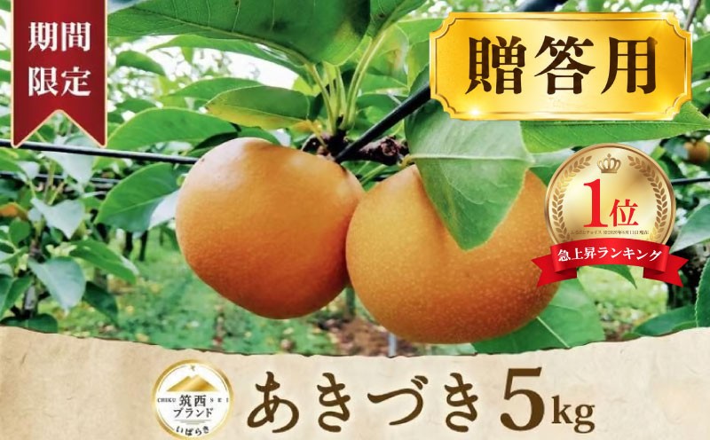 
                  【ランキング1位獲得】 梨 あきづき 5kg  (8～14玉) 1箱 【先行予約】 | 秀品 贈答用 なし ナシ 秋月 旬の梨 和梨 5キロ 期間限定 果物 くだもの フルーツ デザート 新鮮 甘い fruit nashi 特産品 茨城県産 2026年 令和8年 新鮮 旬 茨城 筑西 nasi 2026年産 高評価 大人気 おすすめ 特産品 JA 北つくば  JA 北つくば 関東 
                