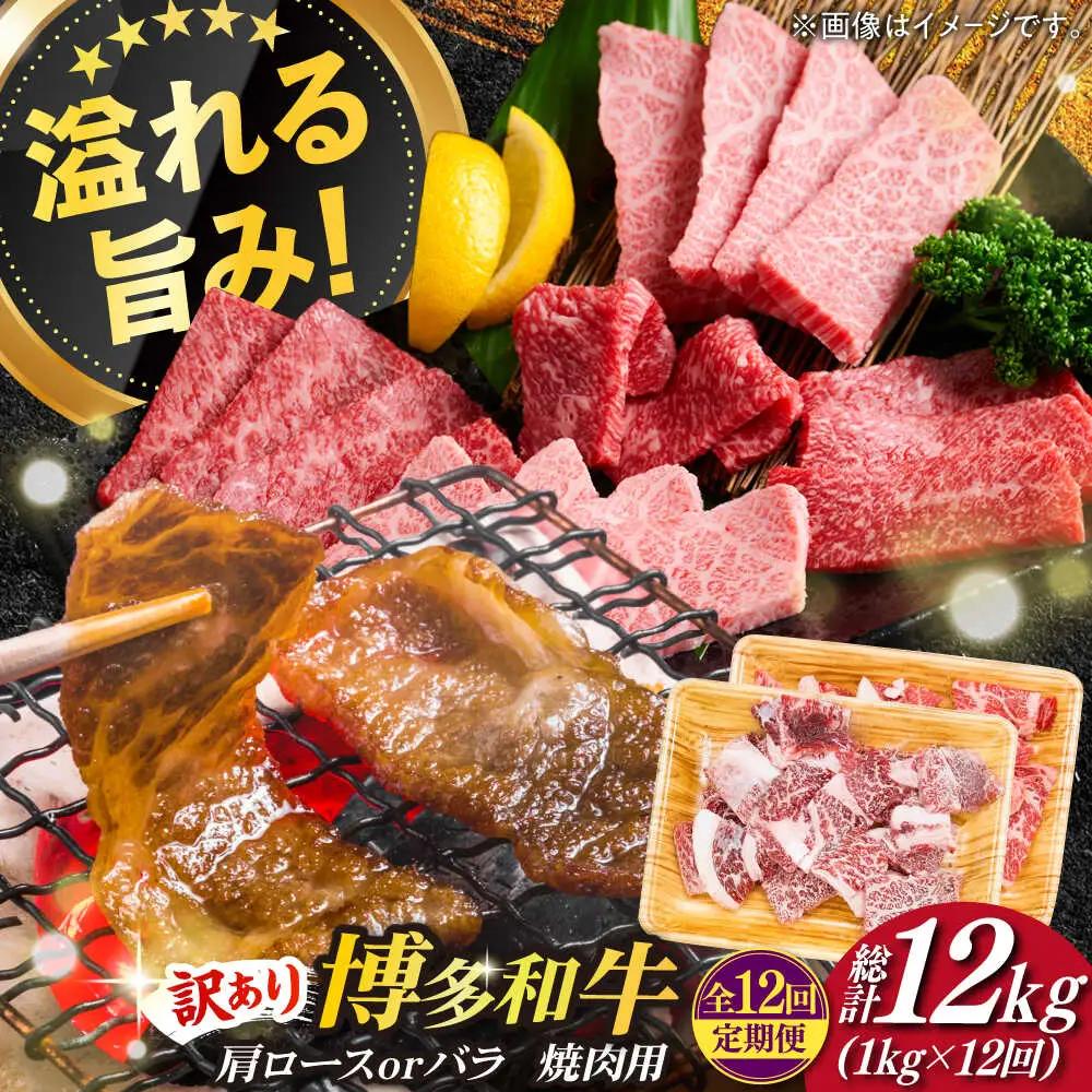 牛肉切り落し 【全12回定期便】【 訳あり 】 1kg [ABBP156] 牛肉切り落し