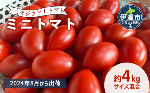 
[№5525-0782]◆2024年8月より順次出荷◆北海道 伊達 岡本園芸 ミニトマト 高糖度 約4kg【マジウマ！トマト】　
