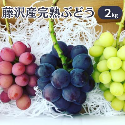 【ふるさと納税】 【8月下旬発送】完熟旬のぶどう おまかせ 約2kg 3房から4房 朝摘み ぶどう 葡萄 くだもの 果物 フルーツ 旬のフルーツ 藤稔 ふじみのり シャインマスカット クイーンニーナ BKシードレス 涼香 マスカットノワール ぶどう budou 鈴木園 神奈川 湘南 藤沢