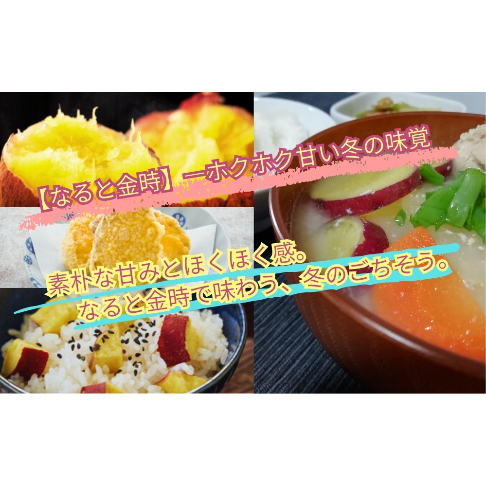 【予約受付中・2025年12月頃より順次発送】【濱田農園】 なると金時 訳あり サイズ混合5kg  |  さつまいも サツマイモ ご飯 天ぷら なると金時 ホクホク