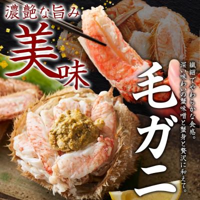 ふるさと納税 弟子屈町 【のし付】毛蟹 2尾 700g 鱒いくら醤油漬け 200g 蟹ハサミガイド 北海道 弟子屈 2457 |  | 01